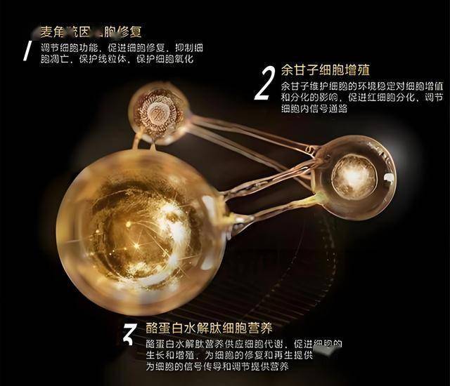 黔西南州41万亩薏仁米助力乡村产业振兴